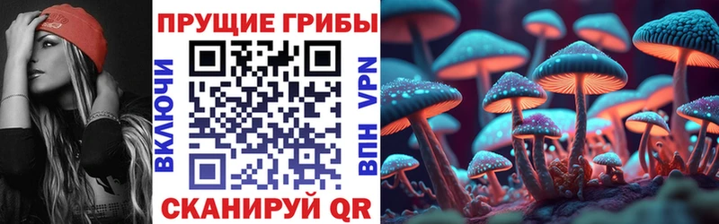 Псилоцибиновые грибы Cubensis  Безенчук 